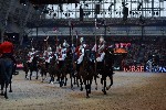 Cavalry - 00166